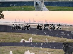 -汤山公园