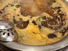 -中和远东火锅兔(老店)