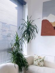 -MEMO Skin漫溯皮肤管理