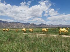 -敕勒川草原文化旅游区