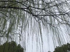 -大关公园