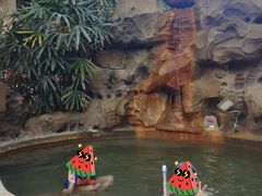 -郑州银基黄帝宫御温泉