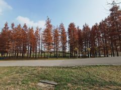-梁鸿国家湿地公园