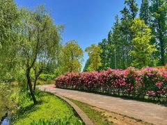 -前小桔亲子创意农场·草莓采摘·露营烧烤