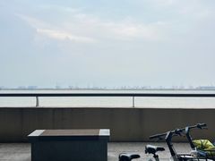 -大湾区中央湿地公园