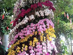 -北京植物园-展览温室