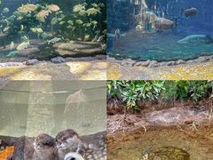 -南昌融创海世界