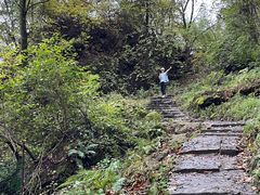 -香炉山国家森林公园
