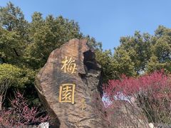-无锡梅园公园