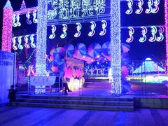 -飞来湖湿地公园