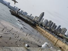 -星海广场