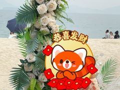 -玫瑰海岸文化旅游度假区