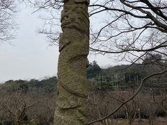-雨花胜境