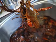 清水小龙虾-白沙菜市场