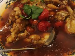 馋嘴蛙-骏莱海鲜鱼港(五角场店)