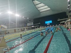 -重庆市奥林匹克体育中心-游泳跳水馆