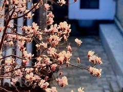 -北京颐和宾馆