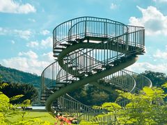 -顺峰山公园