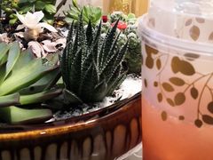 -九秋茶铺(三里屯店)