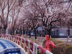 -吉林大学(南岭校区)