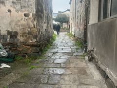-东梓关景区村庄