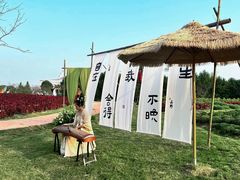 -金卉庄园