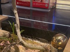 -万事吉健康生活馆(古城店)