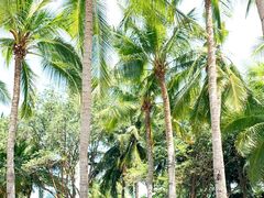 -三亚南山文化旅游区