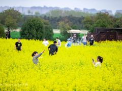 -汉长安城未央宫国家考古遗址公园