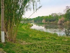 -白鹭湾湿地公园