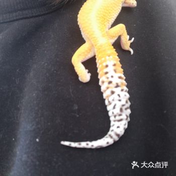 emm....怎么说呢...我也是关于这方面的新手吧