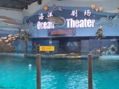 -苏州海洋馆
