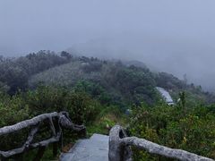 -梧桐山风景名胜区