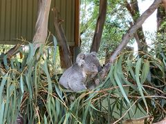 -费瑟代尔野生动物园