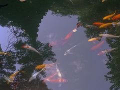 -广州兰圃