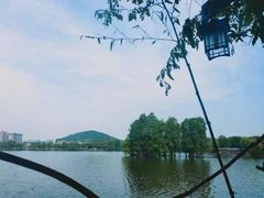 -东湖食堂·湖景餐厅•会议
