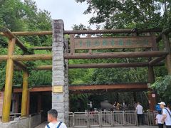 -牛背梁国家森林公园