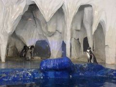 -太平洋海底世界