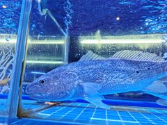 -泰谷酒店·太古码头闽菜自助餐厅