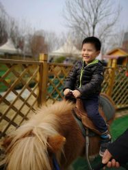 -萌宠亲子动物乐园(槐房万达店)