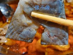 -雲蜀龙阁·金牌水煮鱼(方庄店)