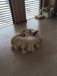 -KIDSMEMO拾光纪儿童摄影(金丰大厦店)
