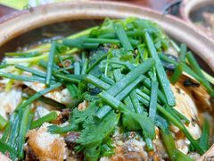 -华仔土鸡店(南洲分店)