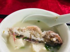 -蛇口康乐快餐鱼仔档(翠苑小区店)