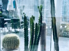 -Blueglass酸奶(财富购物中心店)