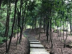 -火炉山森林公园