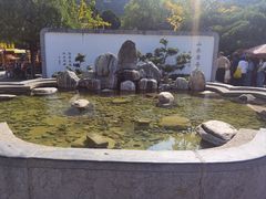 -华清宫景区