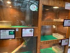 -上海大自然野生昆虫馆(东方明珠·爬宠昆虫探索中心)
