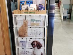 -中农大我爱我爱动物医院·核磁CT·猫病·24小时夜诊中心(石佛营店)