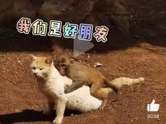 -昆明动物园
